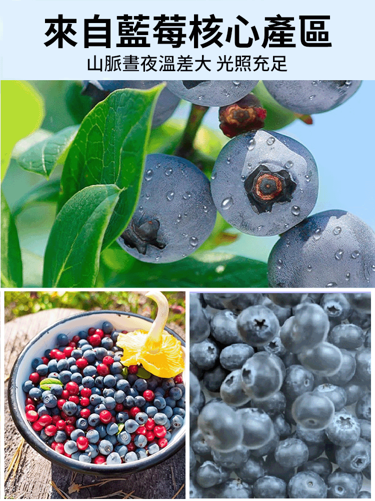 藍莓幹