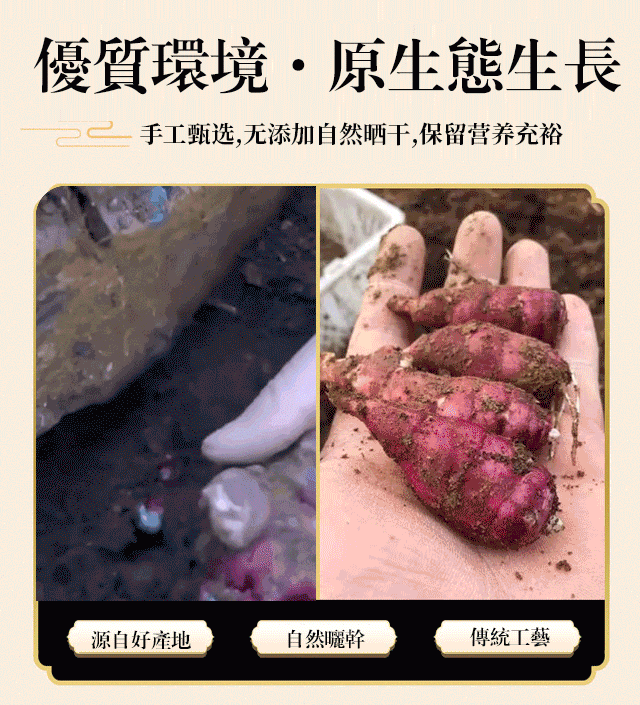 野生胰島果茶