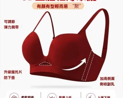 立體聚攏內衣