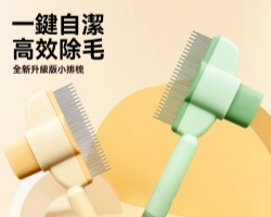 去浮毛跳蚤梳