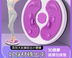 健身磁石扭腰盤