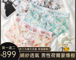 網紗冰絲內褲